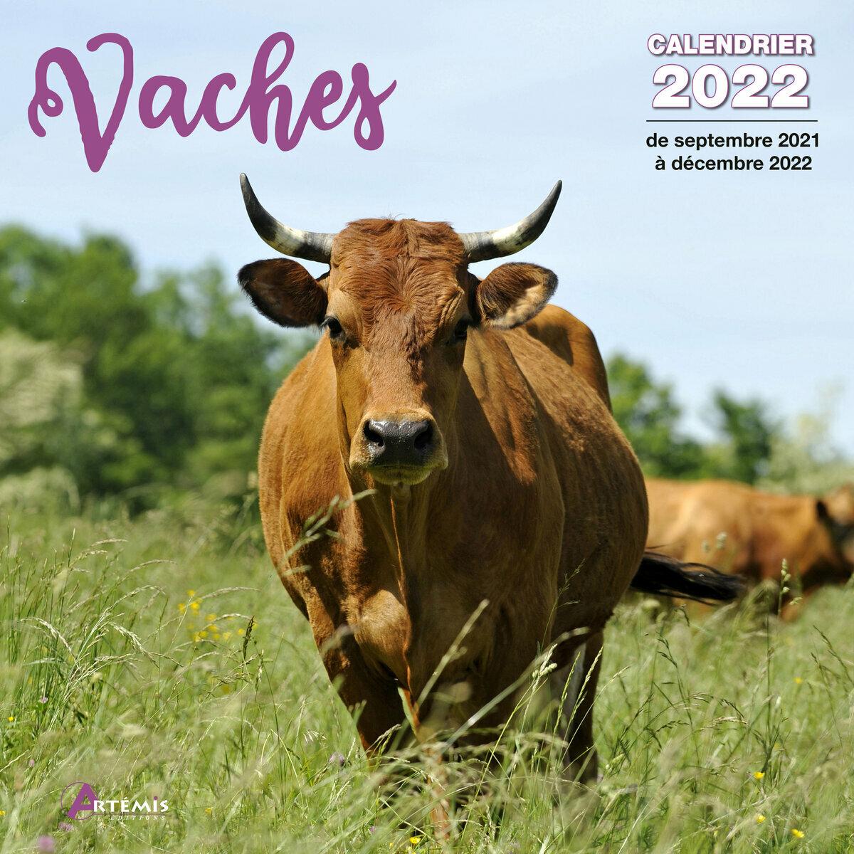 Calendrier 2022 Vache