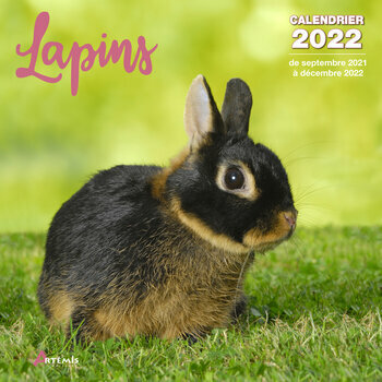 Calendrier 2022 Lapin