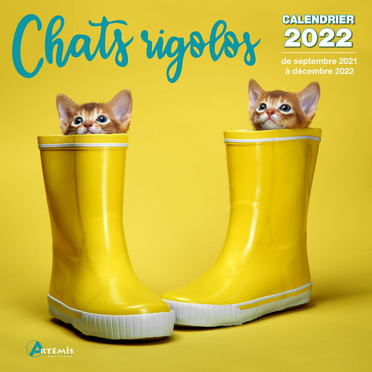Calendrier 22 Chat Rigolo Calendrier 22 Chat Rigolo