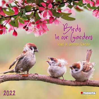 Calendrier 2022 Oiseaux de nos jardins