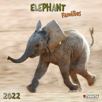 Calendrier 2022 Eléphants