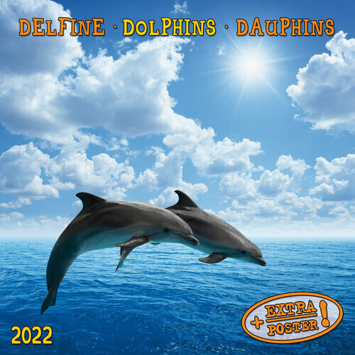 Calendrier 2020 DAUPHIN- MER + offert un agenda de poche 2020 OCEAN sg 