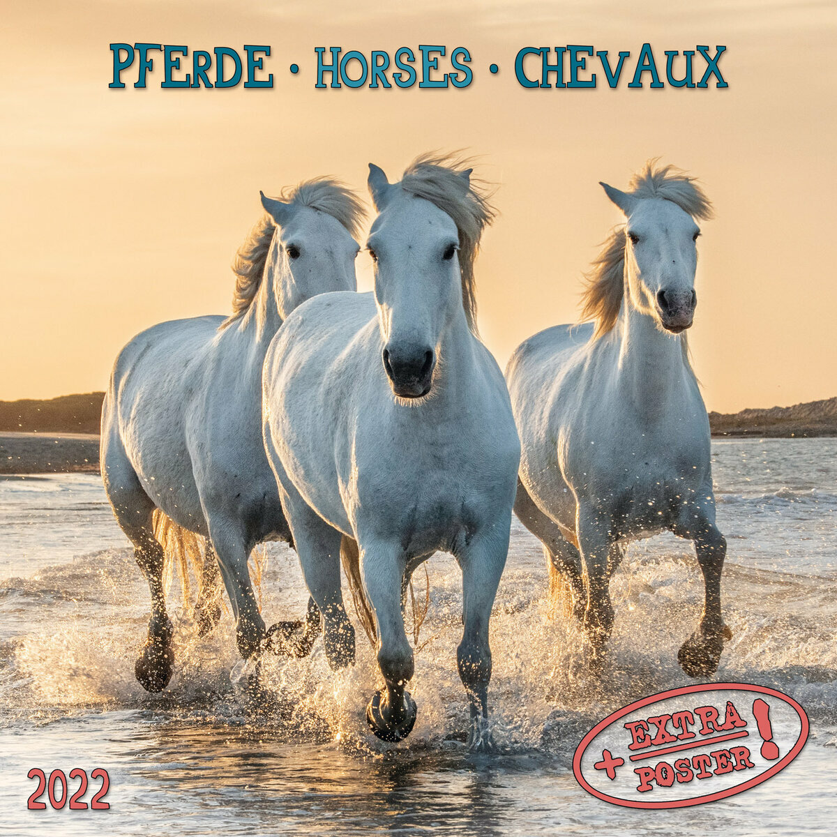 calendrier de l avent 2022 cheval