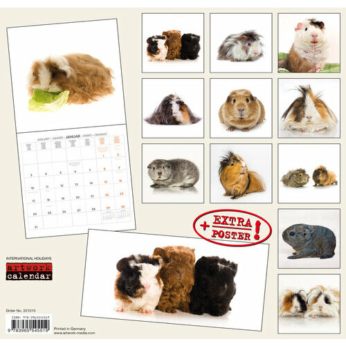 Calendrier 2023 Cochon Calendrier 2022 Cochon D'inde Avec Poster Offert