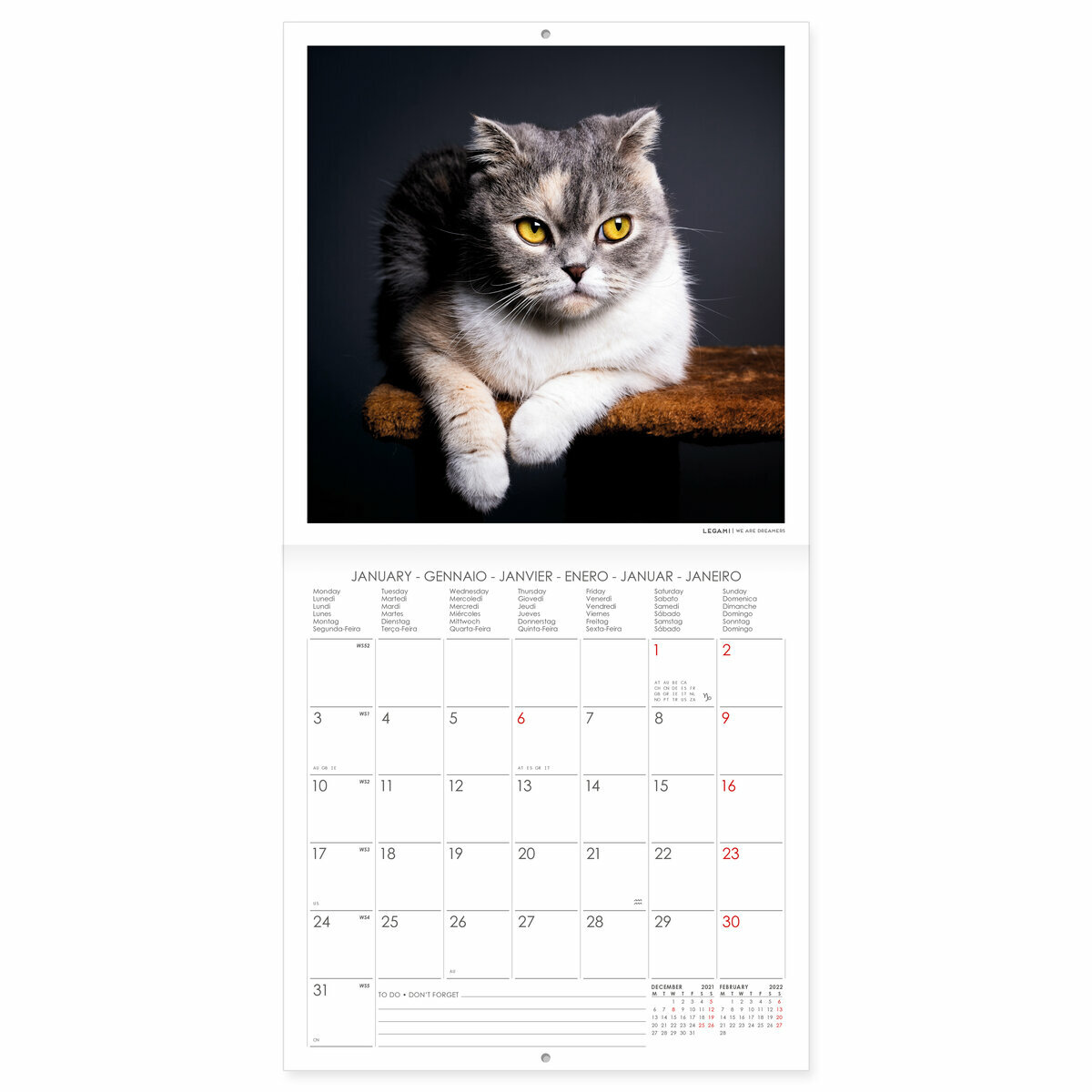 Mini Calendrier 22 Chat