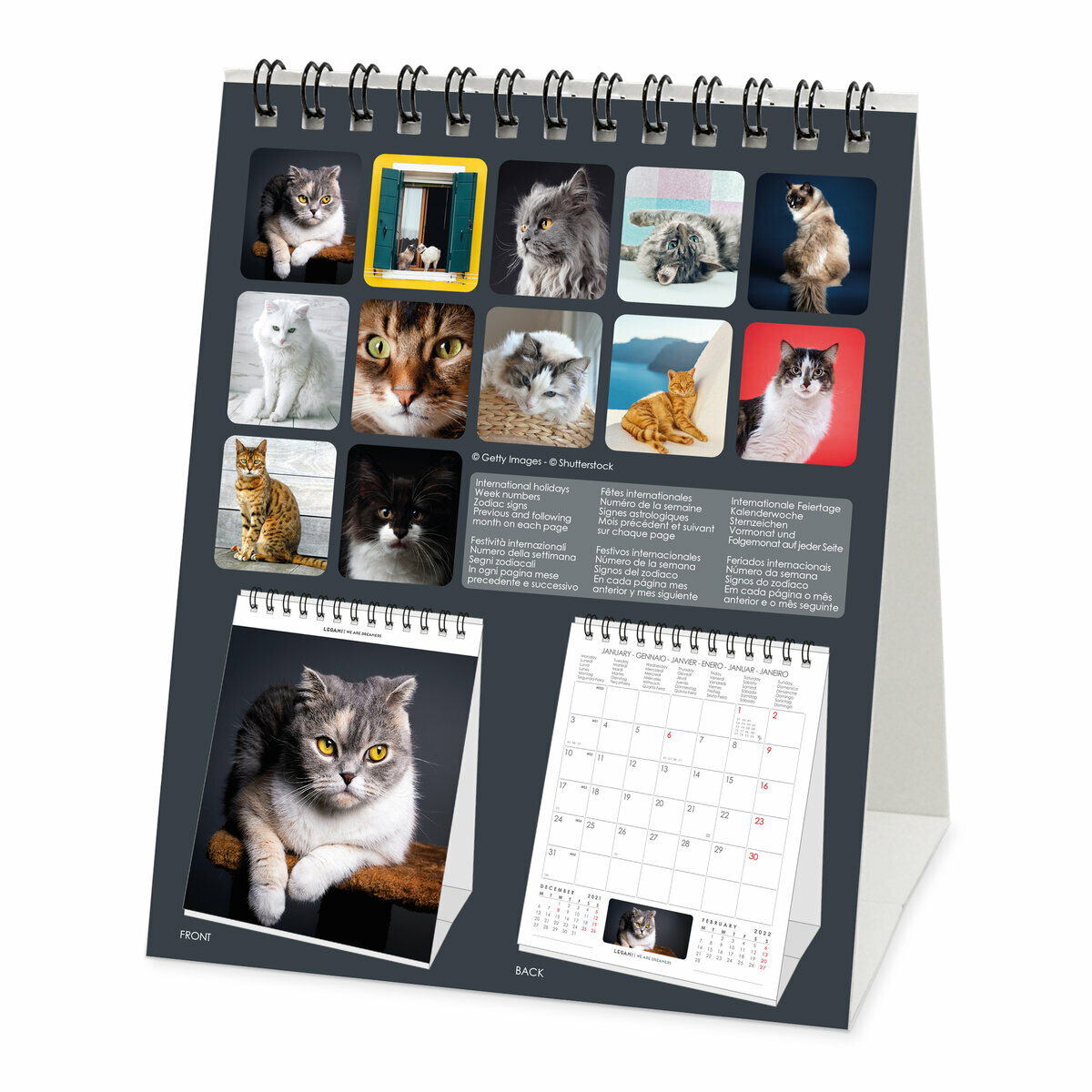 Calendrier Chevalet 2023 Chats Calendrier Chevalet Chat 2022
