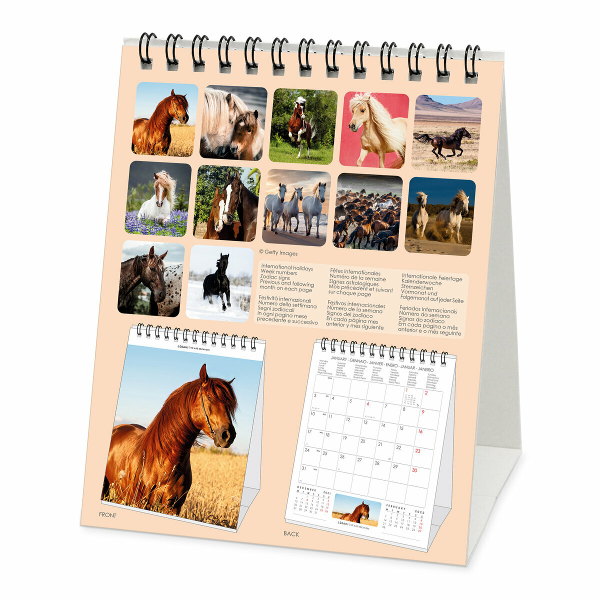 calendrier de l avent équitation 2022