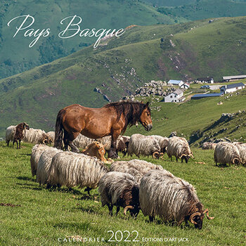 Calendrier chevalet 2022 Pays basque chevaux
