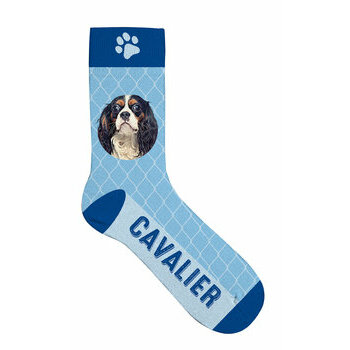 Chaussettes Cavalier King Charles
