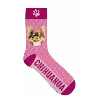 Chaussettes Chihuahua