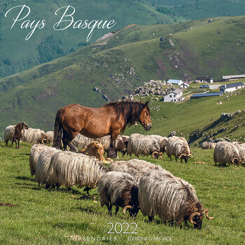 Calendrier 2022 Pays basque chevaux