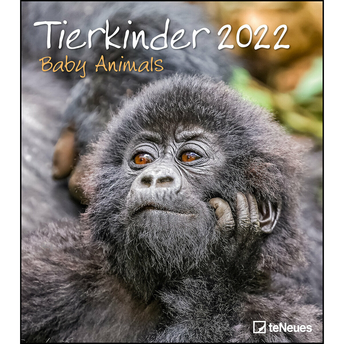 Calendrier Mural 22 Bebe Animaux Calendrier Mural 22 Bebe Animaux