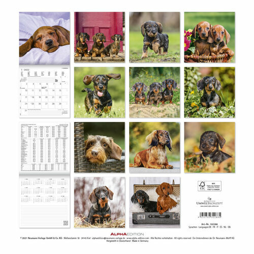 Calendrier Teckel 2023 Calendrier 2022 Teckel