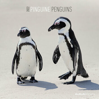 Calendrier 2022 Pingouin