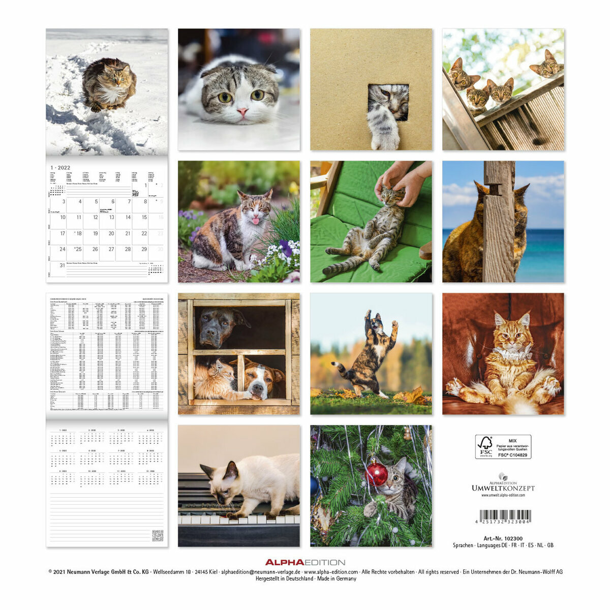 Calendrier 2022 Chats Calendrier Du Chat Acariatre 2022