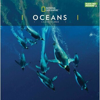 Calendrier 2022 National Geographic Ocean