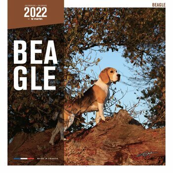 Calendrier 2022 Beagle