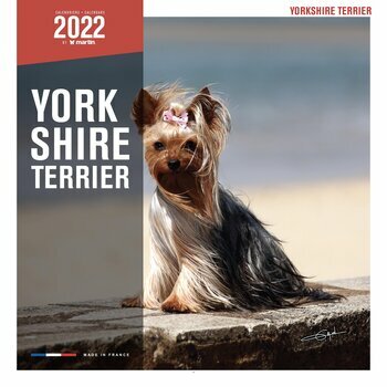 Calendrier 2022 Yorkshire Terrier