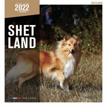 Calendrier 2022 Shetland