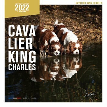 Calendrier 2022 Cavalier king charles