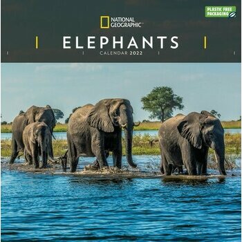 Calendrier 2022 Elephant National Geographic
