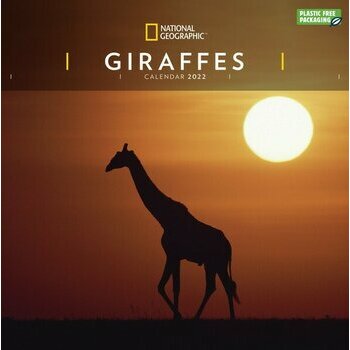 Calendrier 2022 Girafe National Geographic