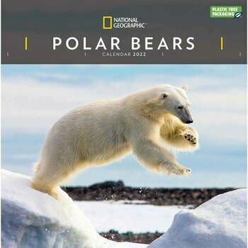 Calendrier 2022 Ours polaire National Geographic