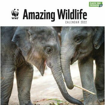 Calendrier 2022 Animaux Sauvage étonnant - WWF