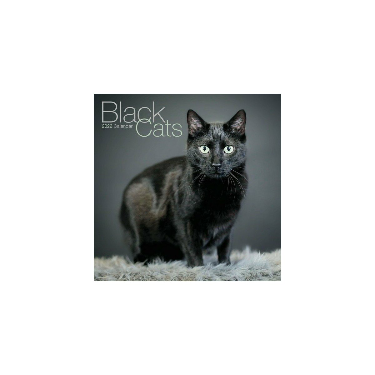 Calendrier Chat Noir 22