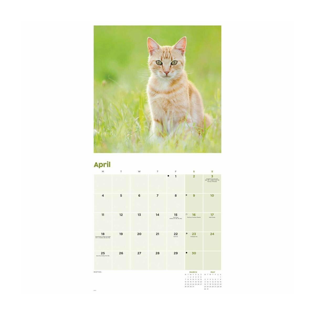 Calendrier Roux 2023 Calendrier Chat Roux 2022