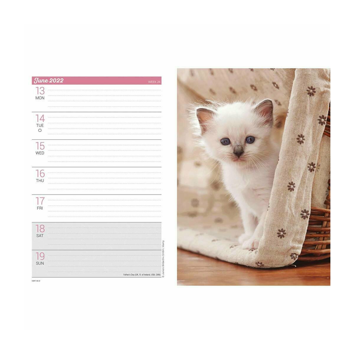 Agenda Chaton 22