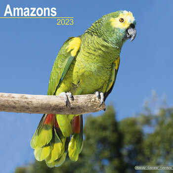 Calendrier 2023 Amazon Perroquet