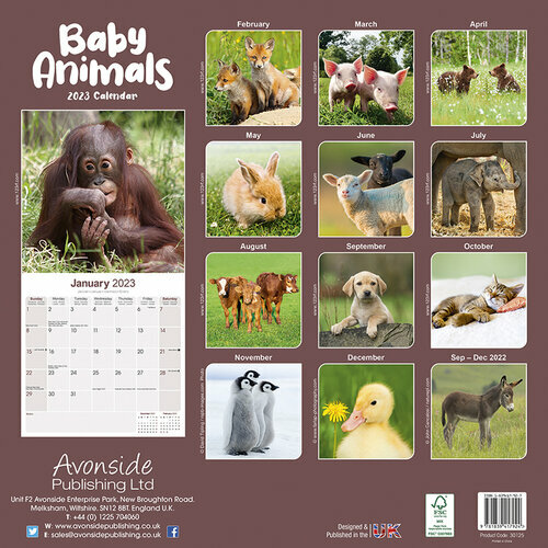Calendrier 2023 Bébés Calendrier 2023 Bebes Animaux