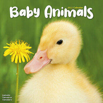 Calendrier 2023 Bebes animaux