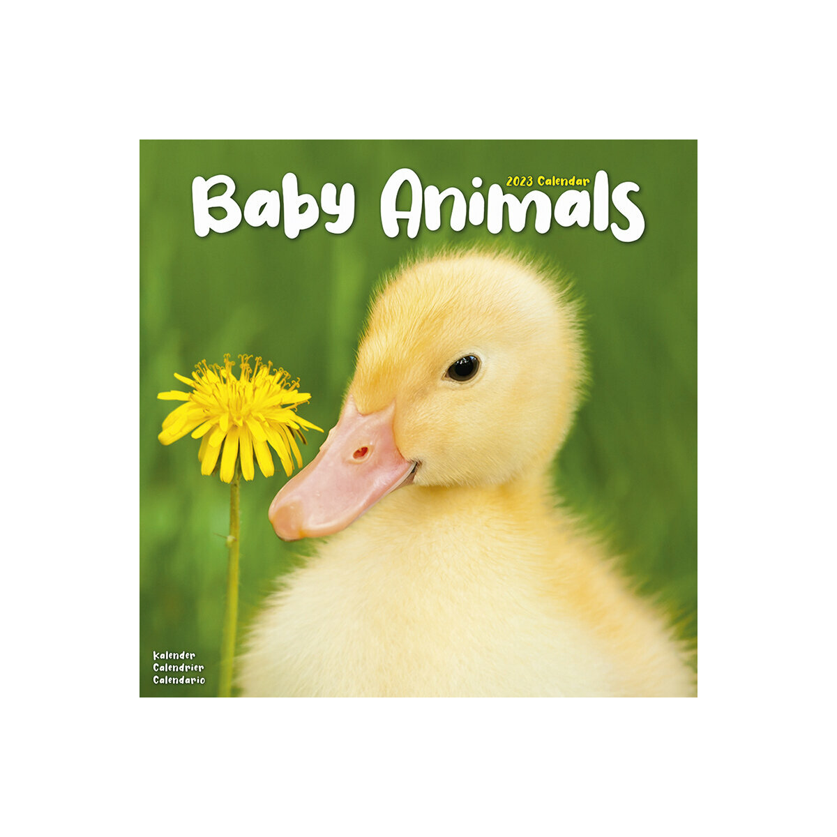 Calendrier 2023 Bébés Calendrier 2023 Bebes Animaux