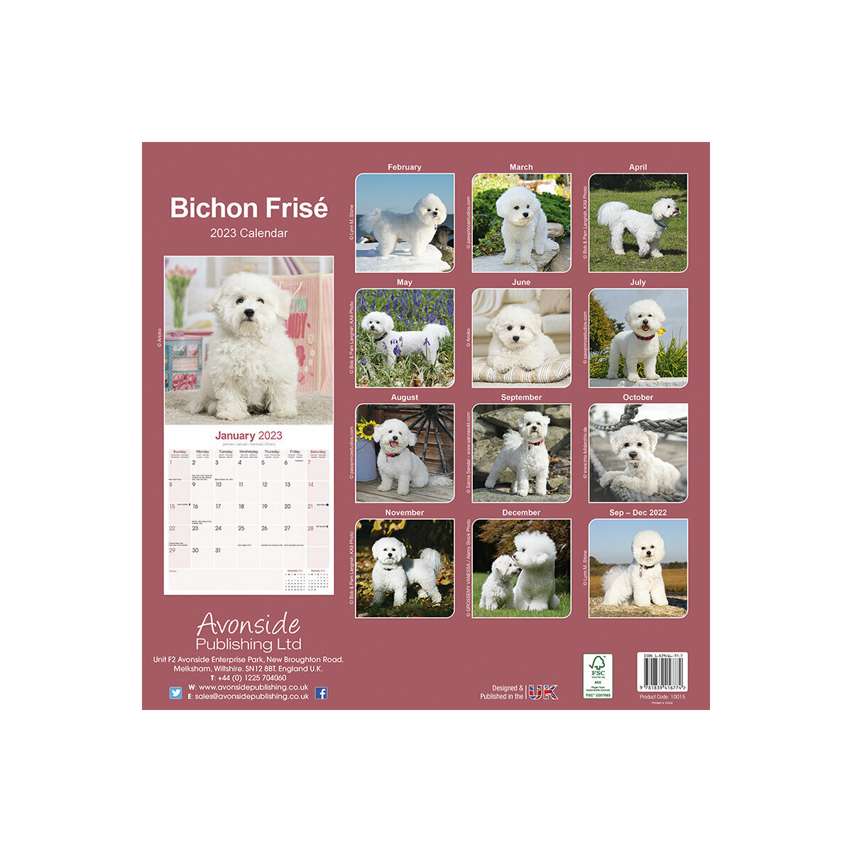 calendrier Bichon frisé 2023