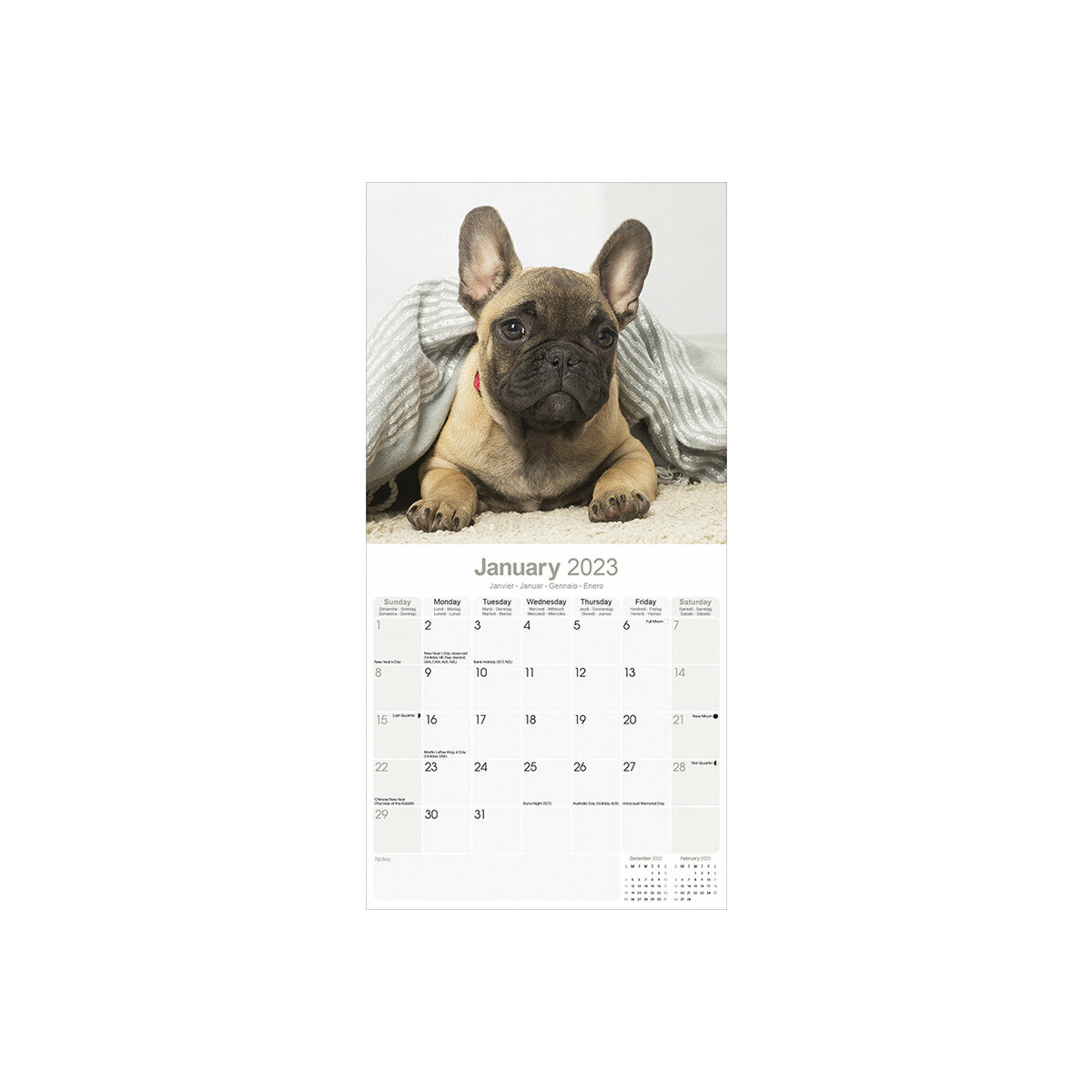 calendrier Bouledogue français 2023