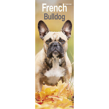Calendrier 2023 Bouledogue Francais Calendrier 2023 Bouledogue Francais