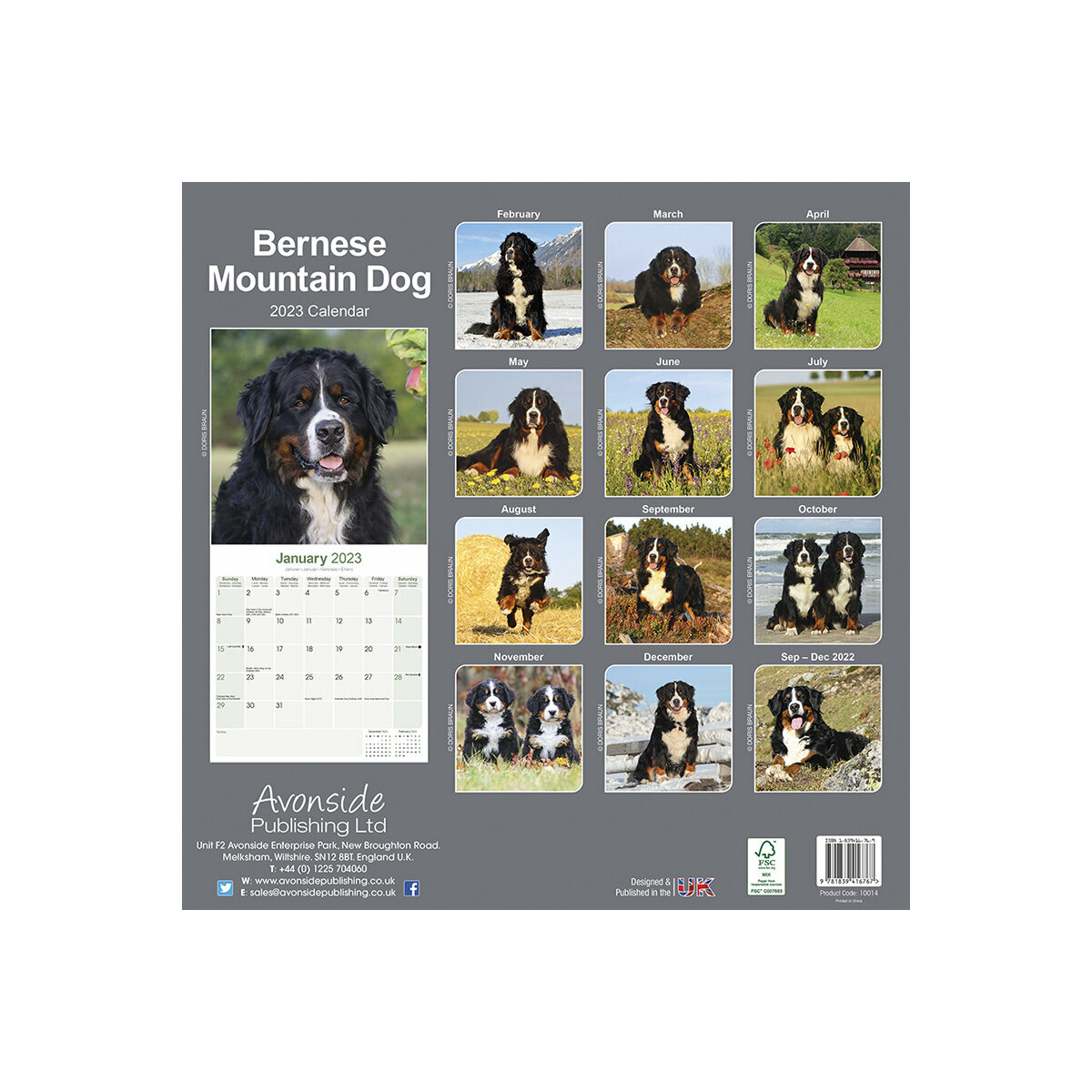 Calendrier Bouvier Bernois 2023 Calendrier Bouvier Bernois 2023