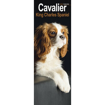 Calendrier 2023 Cavalier king charles slim