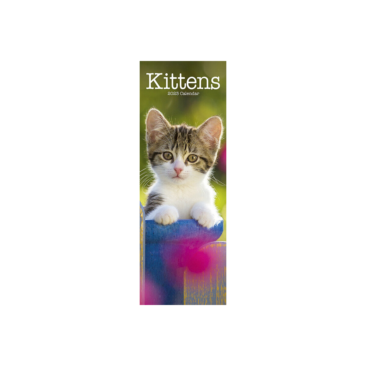 calendrier Chaton slim 2023