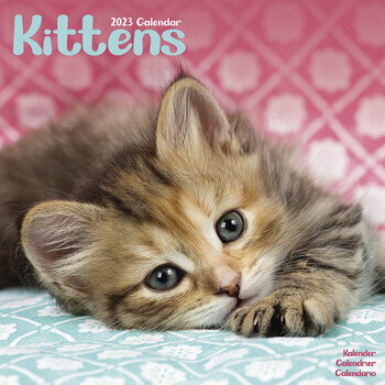 Calendrier 2023 Chatons
