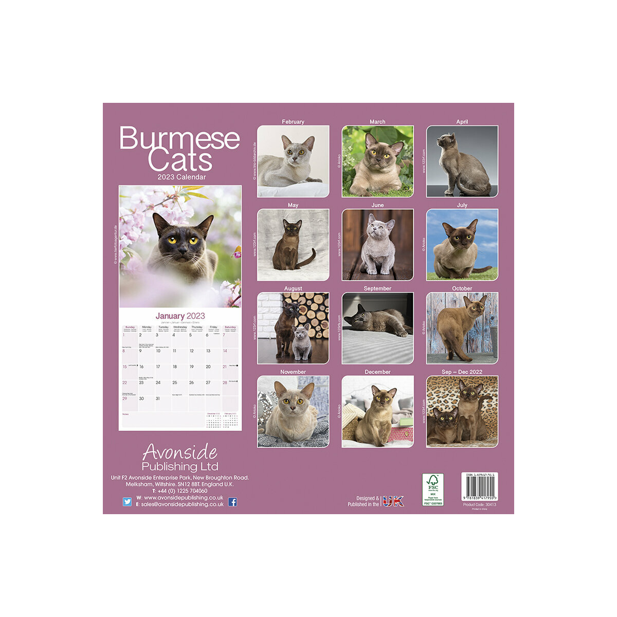 Calendrier Chat 2023 Calendrier Chat Burmese 2023