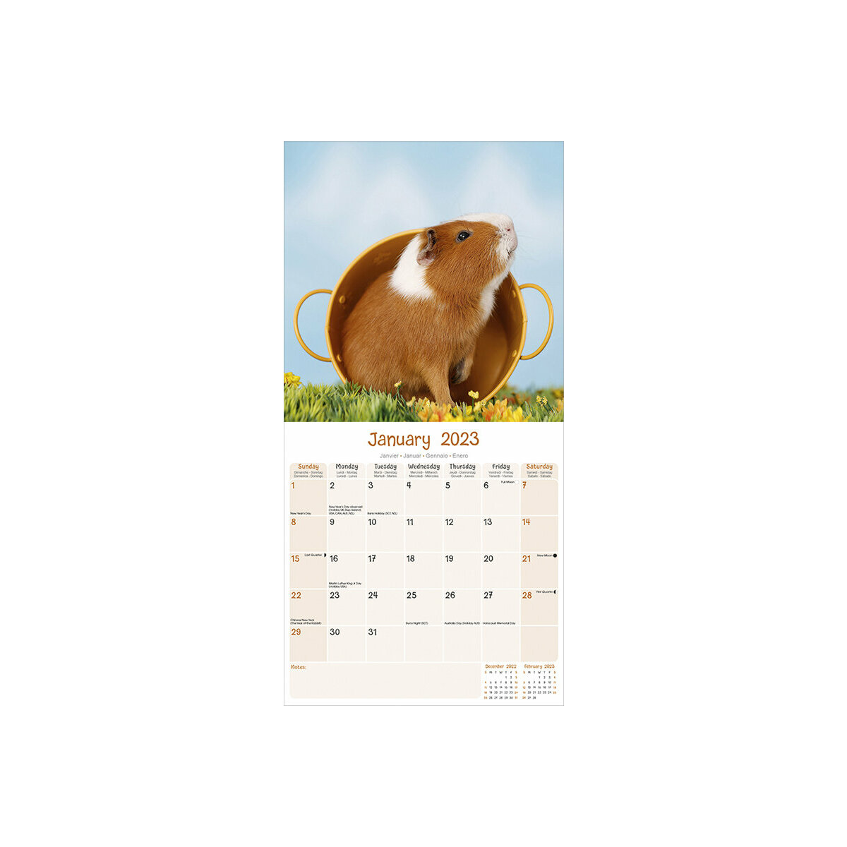 Calendrier 2023 Cochon Calendrier 2023 Cochon D'inde
