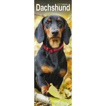 Calendrier Teckel 2023 Calendrier 2023 Teckel