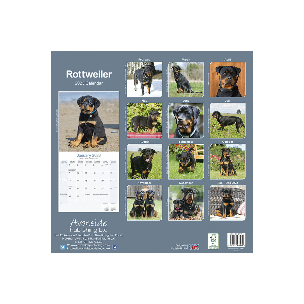 Calendrier 2023 Des Chiens Calendrier Rottweiler 2023