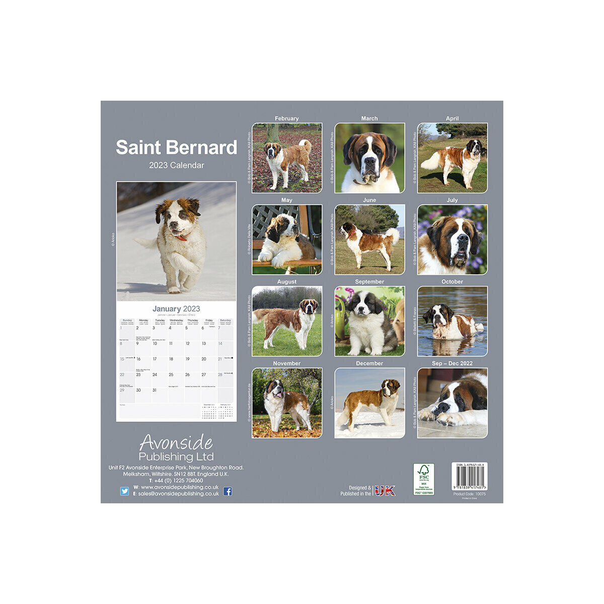 Calendrier 2023 Des Chiens Calendrier Saint Bernard 2023