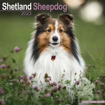 Calendrier 2023 Shetland