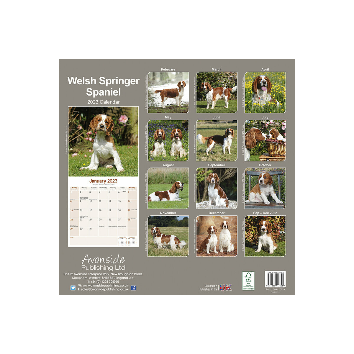 Calendrier chien 2023