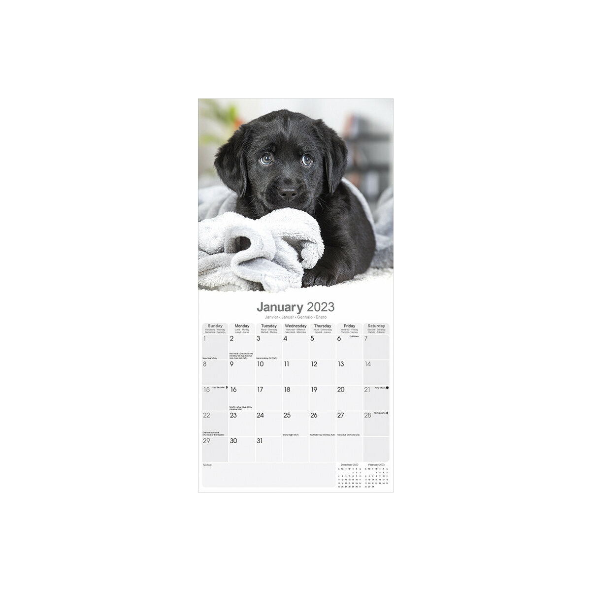 Calendrier Chien 2023 Calendrier Labrador Noir Chiot 2023
